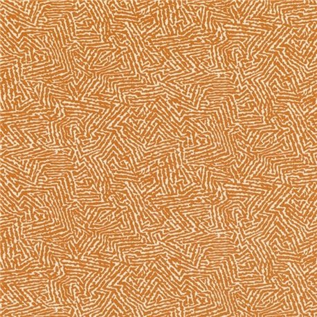 Kaiko Pumpkin 7789-06 Kaiko Pumpkin 7789-06