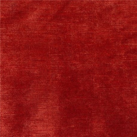 Salsa f6781-01