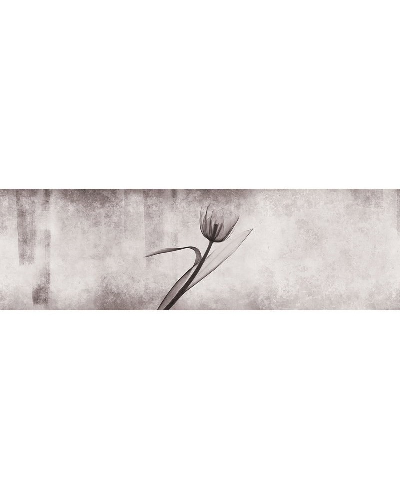 Papel Pintado INKXY1303 XRAY - INKIOSTRO BIANCO Papel Pintado INKXY1303 XRAY - INKIOSTRO BIANCO