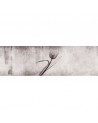 Papel Pintado INKXY1303 XRAY - INKIOSTRO BIANCO