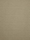 ISOLDE 31 GREY