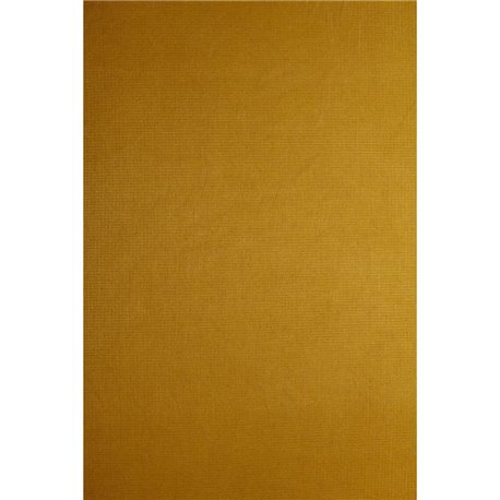 BRILLY 503 OCRE BRILLY 503 OCRE