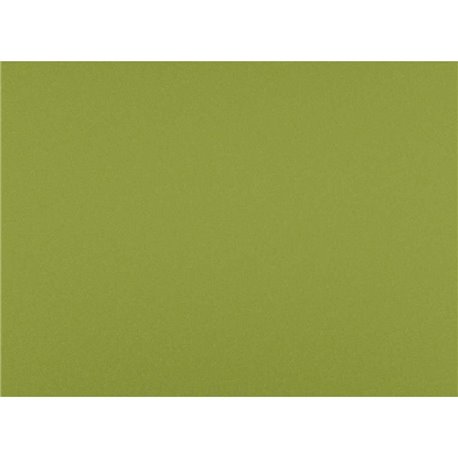 SUEDE col.35 SUEDE col.35