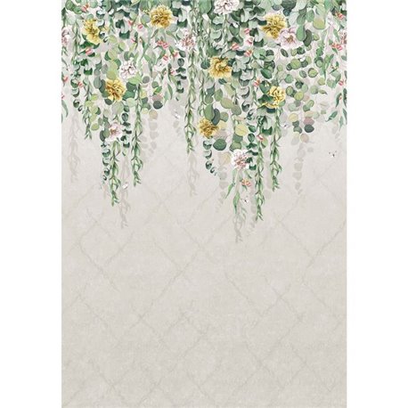 Eucalyptus W7613-01 Eucalyptus W7613-01