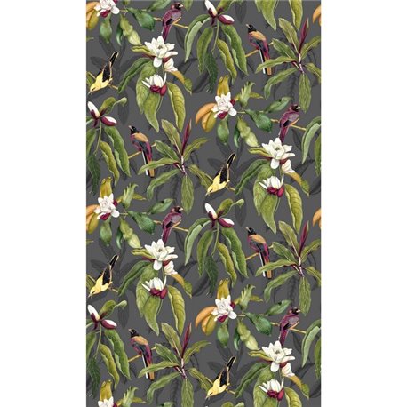 Michelia W7612-01 Michelia W7612-01