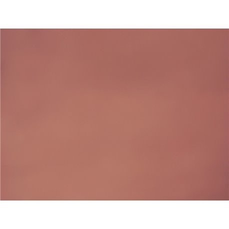 CARANDACHE 43 Ash Rose CARANDACHE 43 Ash Rose