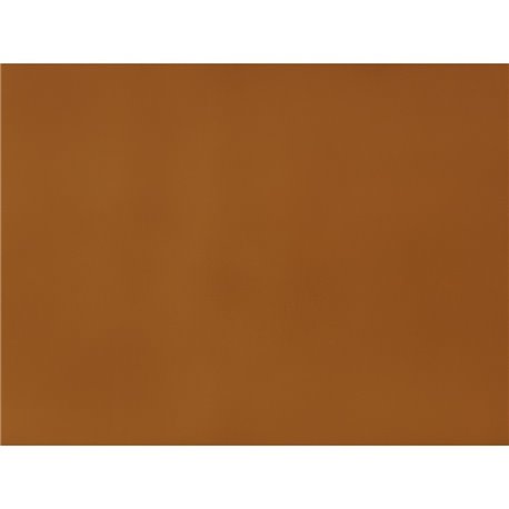 CARANDACHE 49 Gold Medallion CARANDACHE 49 Gold Medallion