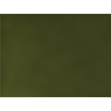 CARANDACHE 54 Cactus Green CARANDACHE 54 Cactus Green
