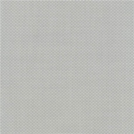 Jaali C0101