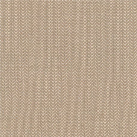 Jaali C0201
