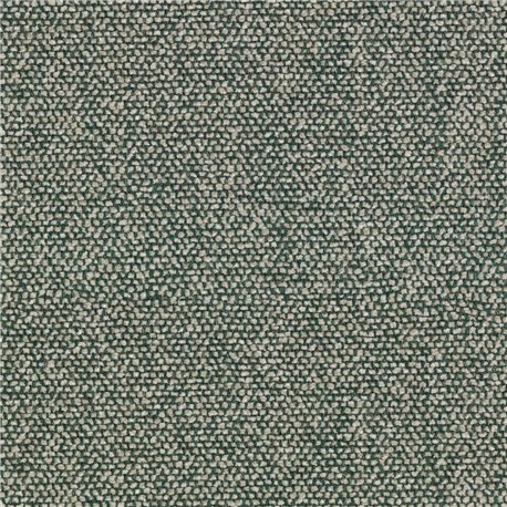 Moss C0003