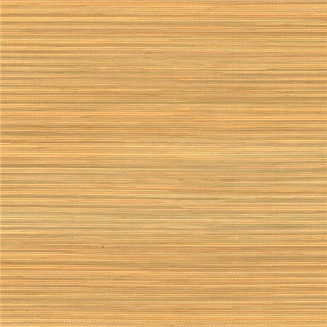 Seagrass 70941954