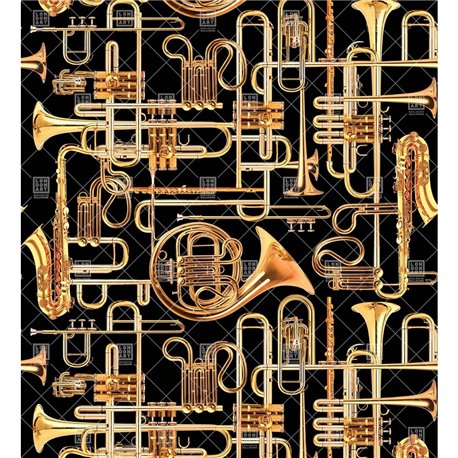 13TP-01 DONALD TRUMPET 13TP-01 DONALD TRUMPET