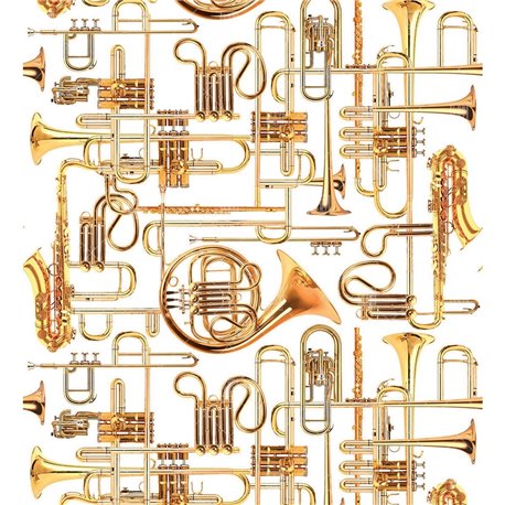 13TP-02 DONALD TRUMPET 13TP-02 DONALD TRUMPET