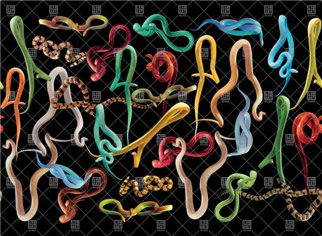 Papel Pintado SNAKES STORM 01TP-01 - LONDON ART
