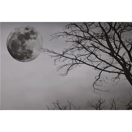 FULL MOON 01 FULL MOON 01