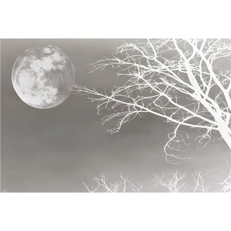 FULL MOON 02 FULL MOON 02