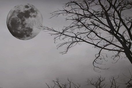 FULL MOON 01