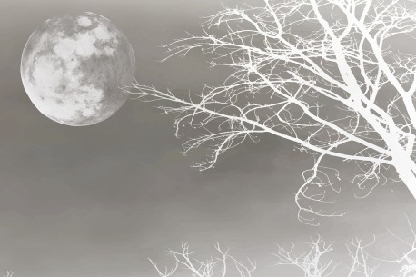 FULL MOON 02