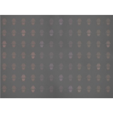 70874-2 C STRIPES-LADYBUG-TECHNO 70874-2 C STRIPES-LADYBUG-TECHNO