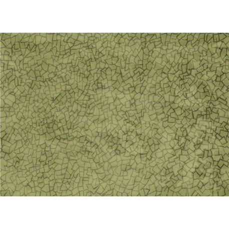 72912-1 B PRAGMATICO-BASIL 72912-1 B PRAGMATICO-BASIL