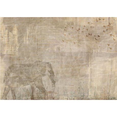 63942-2 AFRIKA-PEACH 63942-2 AFRIKA-PEACH