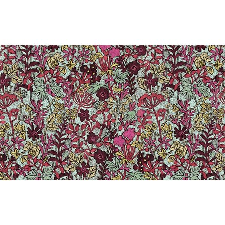 FAUVES ACG-25 C FAUVES ACG-25 C