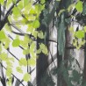 SPRING FOREST CH-08