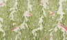 CACTUS_DREAM AO-05
