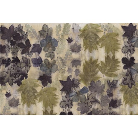 FOLIA GLXI191B FOLIA GLXI191B