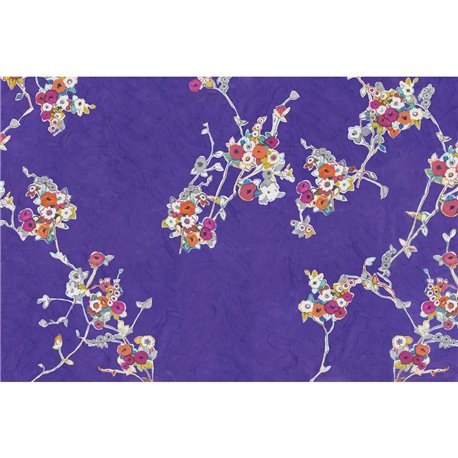 ALCHEMY GLXII31A ALCHEMY GLXII31A