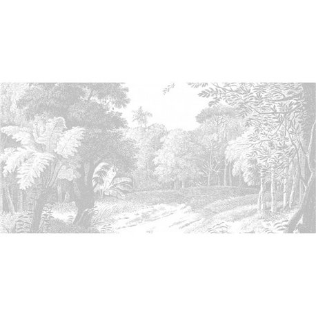EBONY FOREST DOM610 EBONY FOREST DOM610