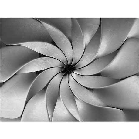 3D 51 3D 51