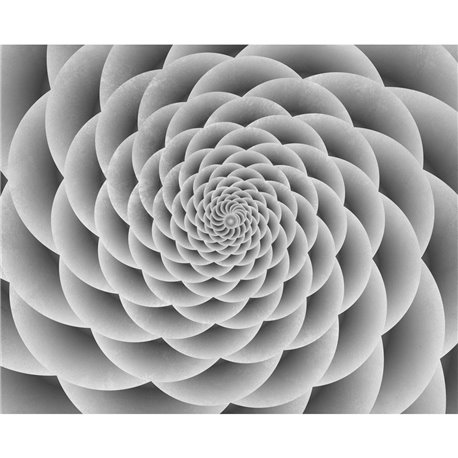 3D 54 3D 54