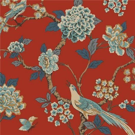 Bird Song Coral A00001 Bird Song Coral A00001