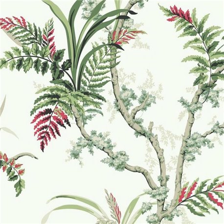 Wild Ferns Coral A00021 Wild Ferns Coral A00021