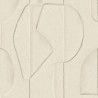 Artifact 312480