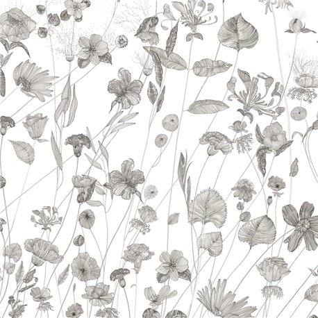 PRAIRIE PRAIRIE