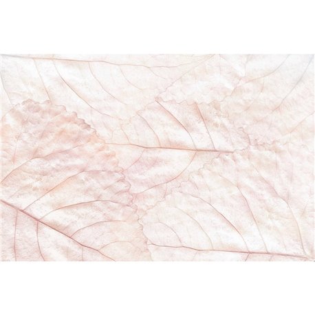 PURE DREAMS KT639M-A PURE DREAMS KT639M-A
