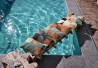 COCONUT CO42904