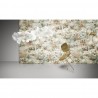 Memento Moooi Medley Dawn MO4030