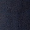 TEXAS BLUE