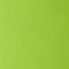 URUGUAY GREEN