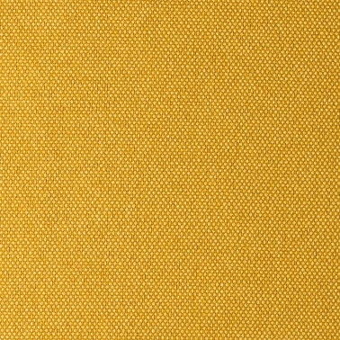 MUSA YELLOW