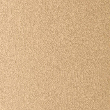 OMEGA CAMEL