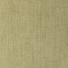 APOLLO CITRIC