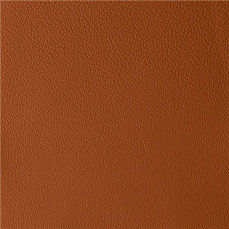 ATLANTIDA BRANDY 06227