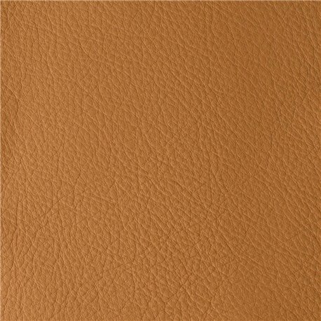 ATLANTIDA BRULEE 06218