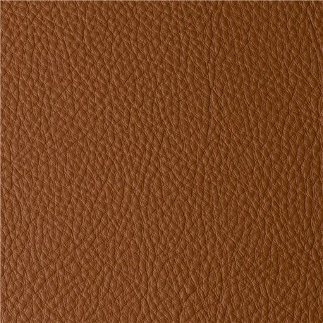 ATLANTIDA CAMEL 06228