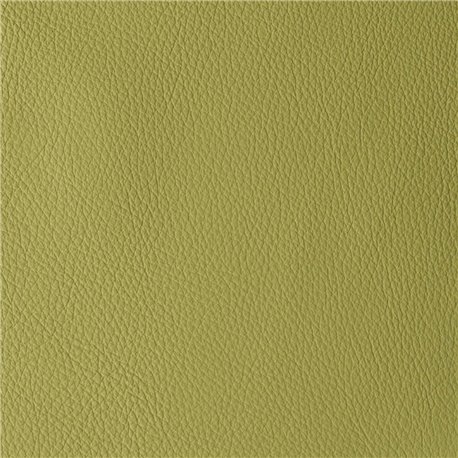 ATLANTIDA CELERY 06294